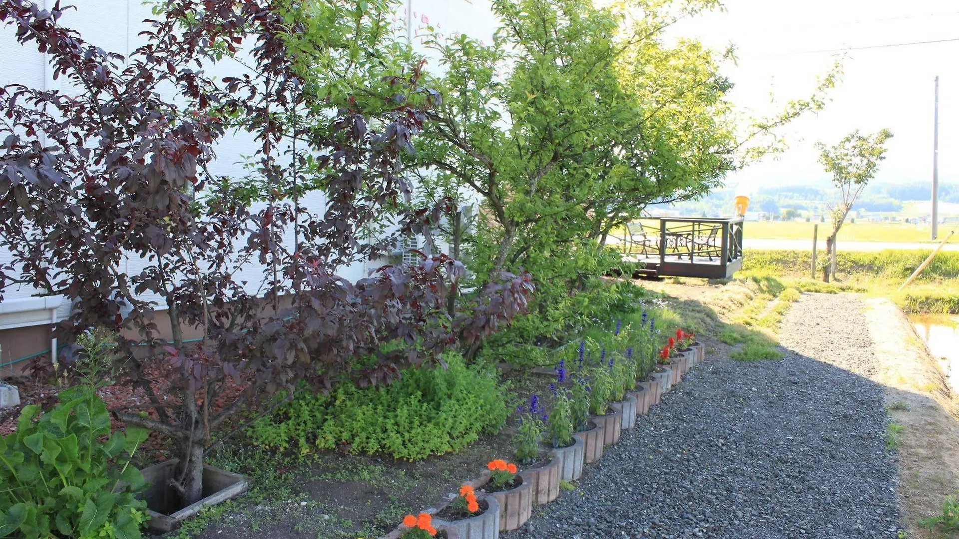 Petit Hotel Blanc Fleur